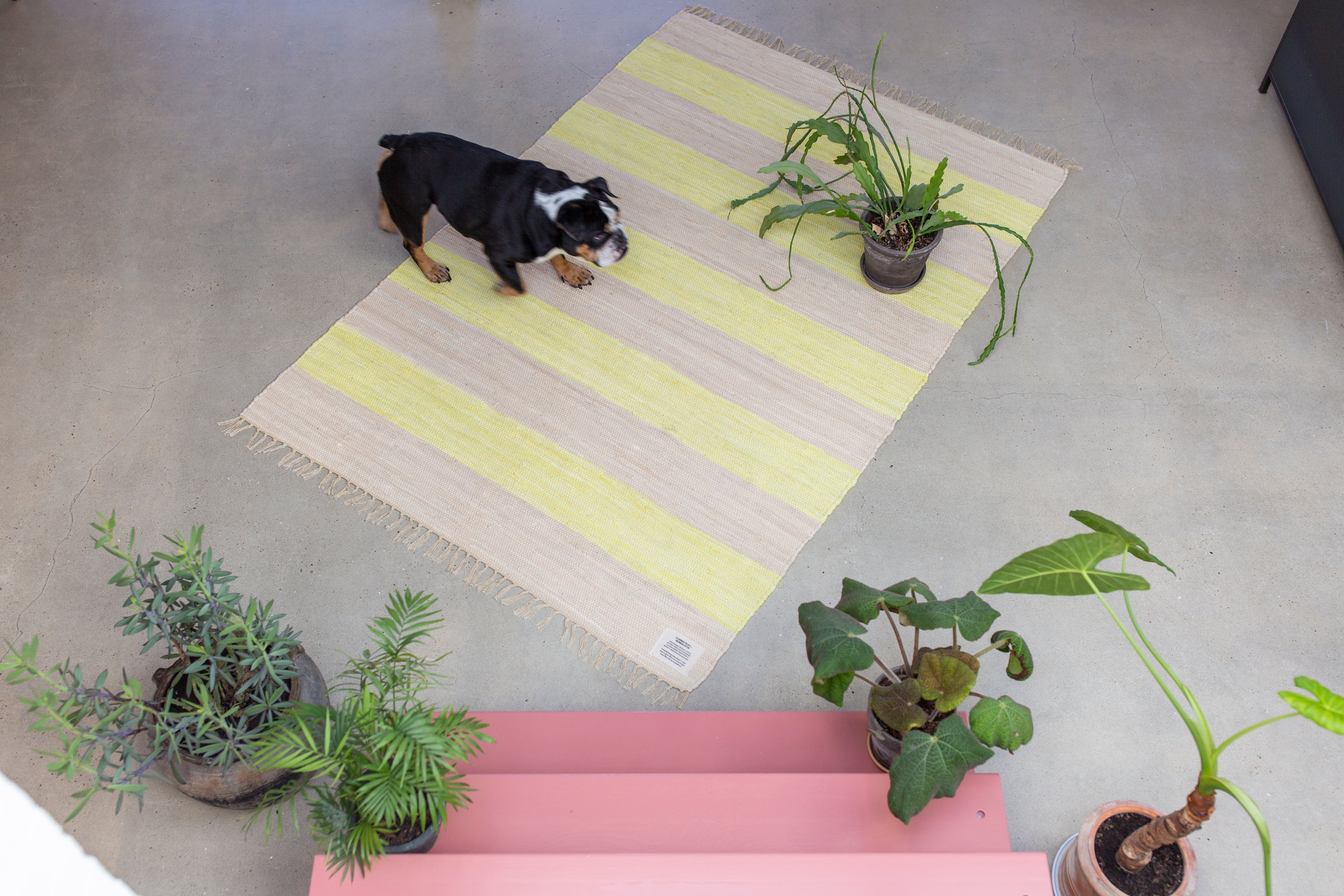 Chindi tæppe, neon yellow & creme