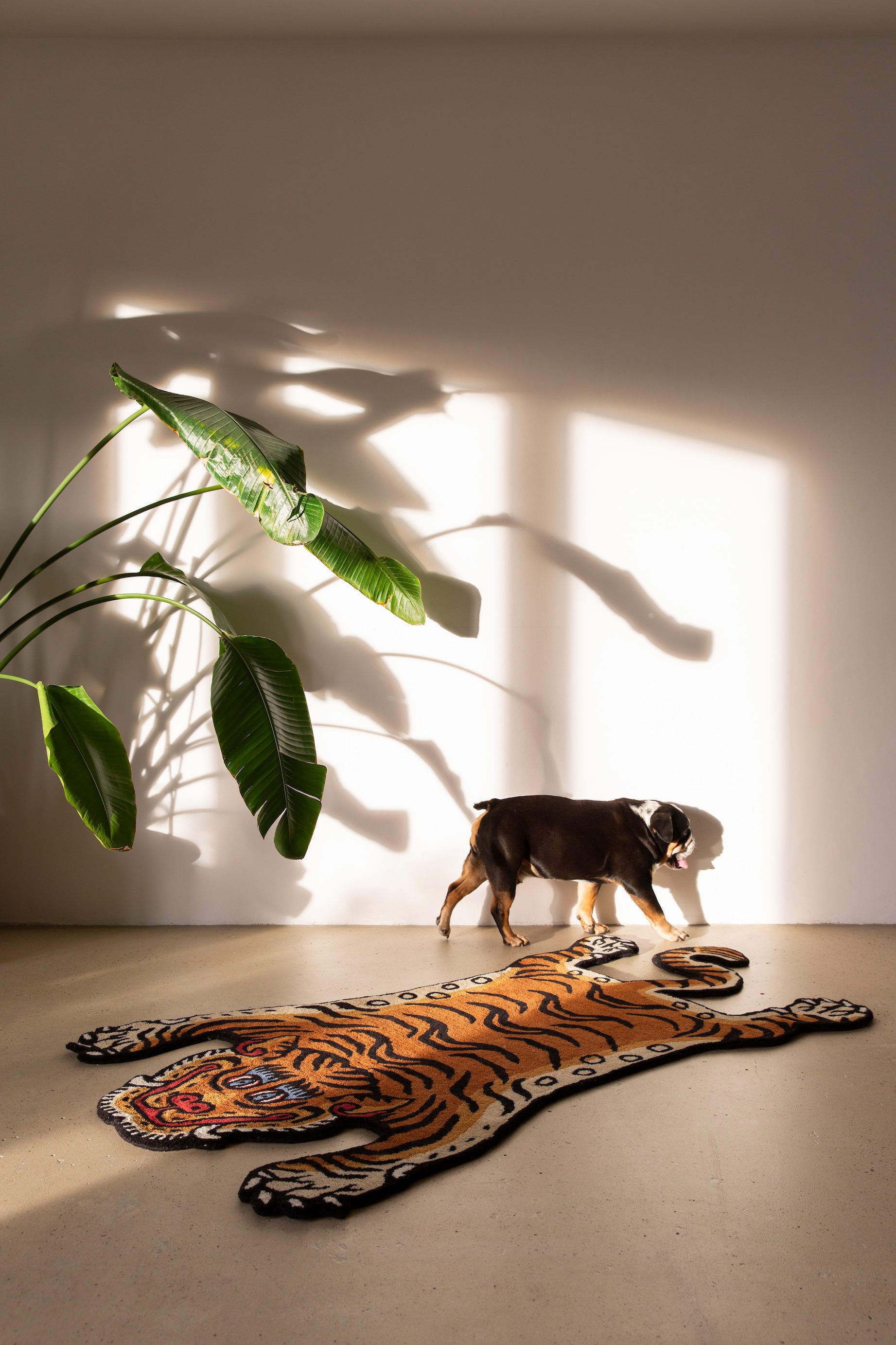 Tiger Rug Large